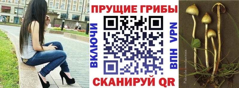 Купить закладки  Бирск  Псилоцибиновые грибы ЛСД 